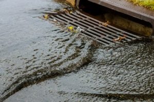 Do Fall Leaves Affect Storm Drains?